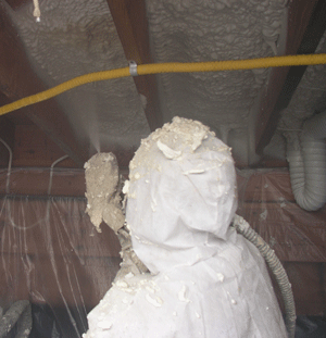 Newport News VA crawl space insulation